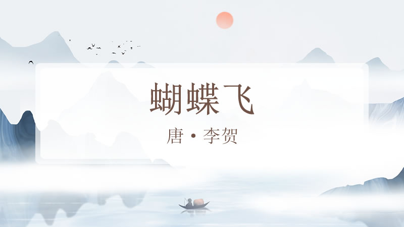 蝴蝶飞
